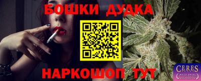 сатива Беслан