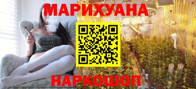 сатива Беслан