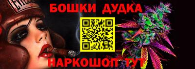 сатива Беслан