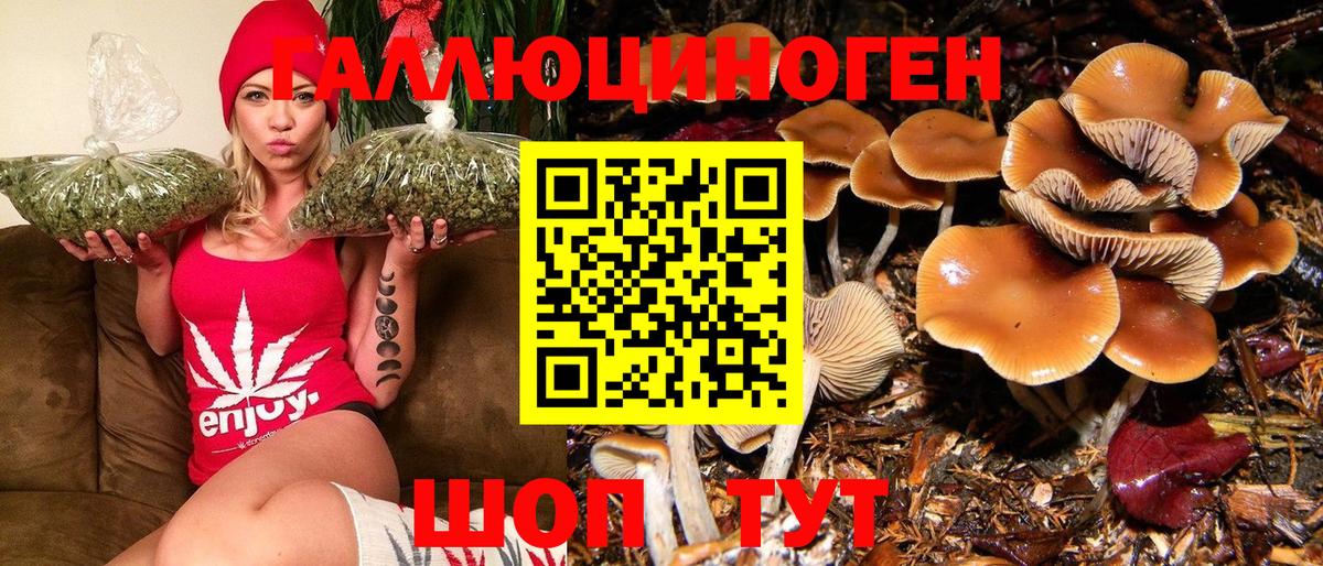 Кимовск  Галлюциногенные грибы GOLDEN TEACHER  Вход с VPN 
