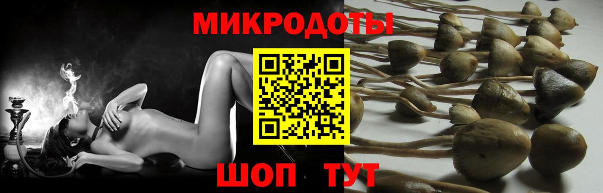 Псилоцибиновые грибы мицелий Кимовск