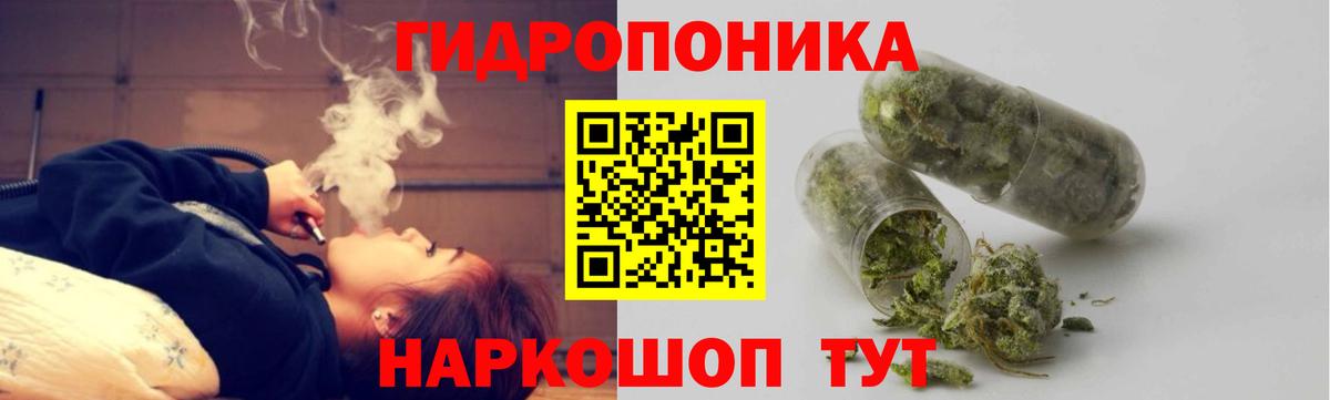 Конопля индика  Конопля сатива  Кимовск  Вход с VPN 